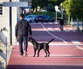 Man Walks Black Labrador