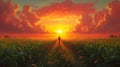 Man walks cornfield sunset fiery sky, hope concept Royalty Free Stock Photo