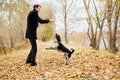 Man walks in the fall with a dog Spaniel with long ears in the autumn Park. Dog frolics and plays on nature in autumn yellow folia Royalty Free Stock Photo