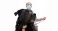 A man walks with his dog outdoors after Spain imposed a lockdown to slow down the spread of the coronavirus disease in Murcia,