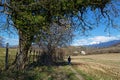 Man walks on a path trough the fields Royalty Free Stock Photo