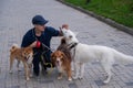 A man walks three different dogs. Royalty Free Stock Photo