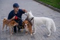 A man walks three different dogs. Royalty Free Stock Photo