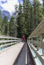 Man walks the wooden bridge Royalty Free Stock Photo