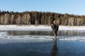 Man in warm clothes standing on the thin ice of a frozen river, Royalty Free Stock Photo