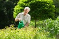 Man wartering the plants