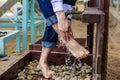 Man washing his feet on the sand beach. Royalty Free Stock Photo