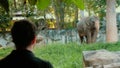 Man watching big elephant in open zoo. Royalty Free Stock Photo