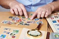 Man watching a collection of postage stamps Royalty Free Stock Photo