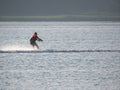 Man water skiing on the sea at sunset near the green beach Royalty Free Stock Photo