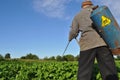 Man watering the bushes of potatoes with chemicals against pests