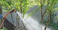 Man watering from a hose plants in the garden Royalty Free Stock Photo
