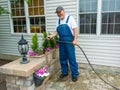 Man watering newly planted arborvitaes or thuja Royalty Free Stock Photo