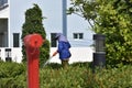 A man watering the plants in the garden.