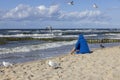 A man wearing a blue jacket sitting on the sandy beach, seagulls flying above his head, Baltic Sea, Miedzyzdroje, Poland Royalty Free Stock Photo