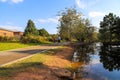 A man wearing a blue shirt and a woman wearing a pink shirt walking on a smooth footpath in the park surrounded by a still lake