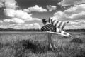 Man wearing cowboy hat running in grass field, American flag blowing in wind behind him