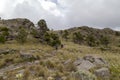 man wearing mask hiking through forest