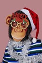 Man wearing a monkey mask and a santa hat