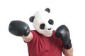 Man wearing a panda mask and boxing gloves doing a right straight punch. Royalty Free Stock Photo