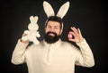 Man wearing rabbit suit. Funny bunny man with easter egg and toy. Easter activities concept. Egg hunt game. Guy bearded