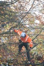 Tree feller tree surgeon safety at work Royalty Free Stock Photo