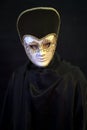 Man wearing Venetian theatre mask Royalty Free Stock Photo