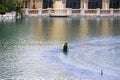 A man wearing a yellow shirt and a hat standing in a lake working on a fountain at the Bellagio Hotel in Las Vegas Nevada