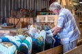 Older man carefully searches through pieces of jagged sharp glass Royalty Free Stock Photo