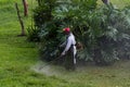 Mowing in Costa Rica