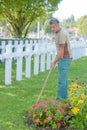 Man weeding flower beds in cemetery Royalty Free Stock Photo