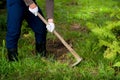 Man weeding his garden with hoe.