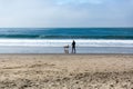 Man plays fetch with his dog at the beach