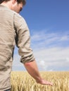 Man in wheat field Royalty Free Stock Photo