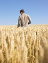 Man in Wheat Field Royalty Free Stock Photo