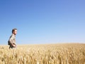 Man in Wheat Field Royalty Free Stock Photo