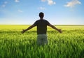 Man in wheat field Royalty Free Stock Photo