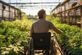 A man in a wheel chair working in a greenhouse. Disabled person grow plants. Back side view