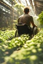 A man in a wheel chair working in a greenhouse. Disabled person grow plants. Back side view
