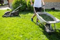 Man with a wheelbarrow of freshly cut grass. Person mows the lawn in the backyard. Royalty Free Stock Photo