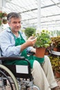 Man in wheelchair holding potted plant in garden center Royalty Free Stock Photo