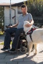 Man in a wheelchair petting his assistance dog lying calmly beside him Royalty Free Stock Photo