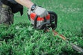 Man in white work gloves trims the hedges with an electric hedges trimmer