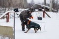 the man who trains the Doberman winter Royalty Free Stock Photo