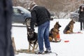 The man who trains a German shepherd in the winter