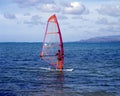 Man windsurfing off Pigeon Point, Tobago.