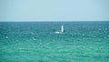 Man Windsurfing in the water during a sunny summer day. Shot. Beautiful view of the sea and windsurfer on a Sunny day Royalty Free Stock Photo