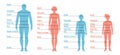 Man, woman, boy and girl Size Chart. Human front side Silhouette