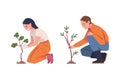 Man and Woman Character Planting Tree Sapling in Soil Taking Care of Planet and Nature Vector Set