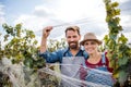 Man and woman collecting grapes in vineyard in autumn, harvest concept. Royalty Free Stock Photo